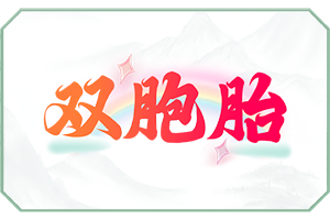 双胞胎.png
