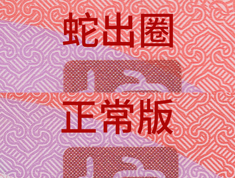 蛇出圈.jpg