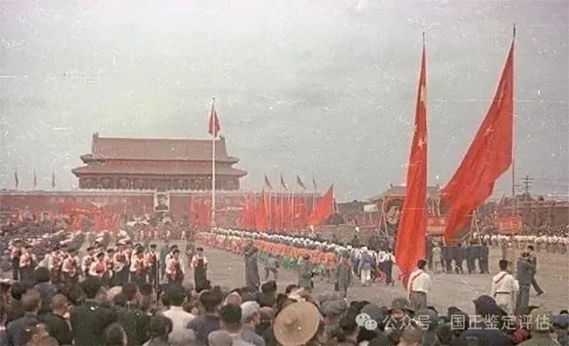 主图1_resized.jpg