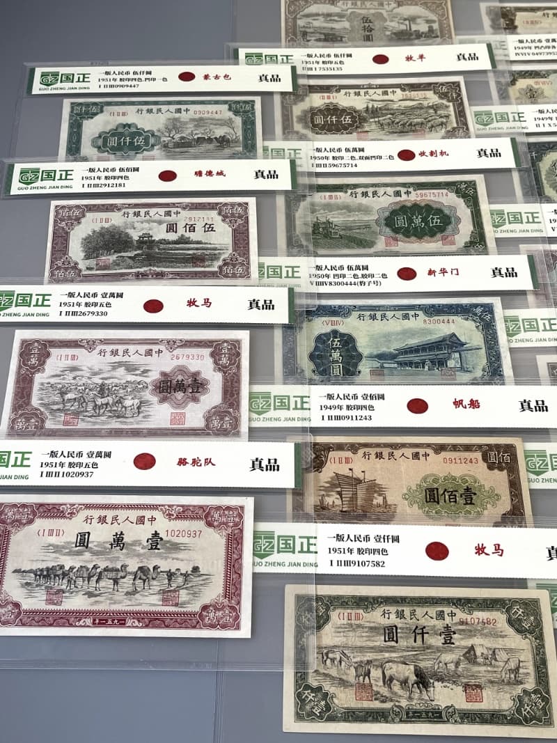 主图2_resized.jpg