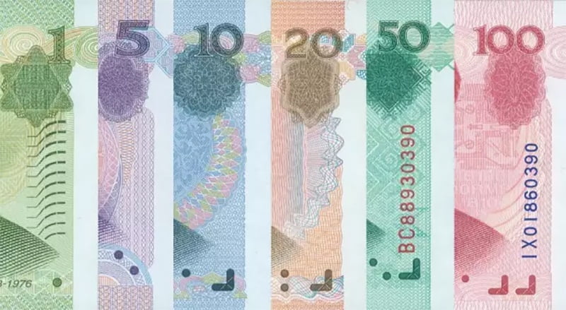 主图5_resized_compressed.jpg