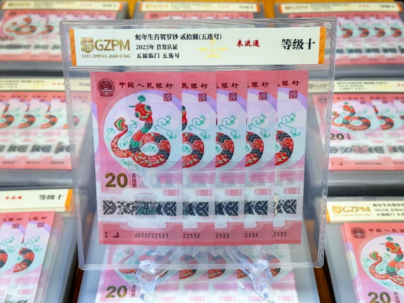 主图1_resized.jpg